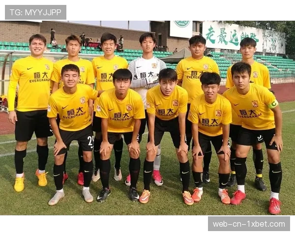 德国足球青训体系分析：年轻新星培养战略